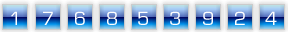 web counter