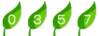 website counter