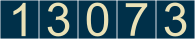 website hit counter