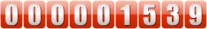 website counter